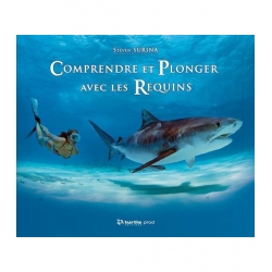 image: Comprendre et plongee avec les requins