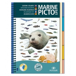 image: Marine pictolife atlantique