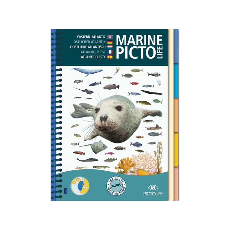 image: Marine pictolife atlantique image: Marine pictolife atlantique