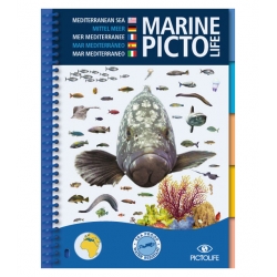 image: Marine pictolife Mediterranee