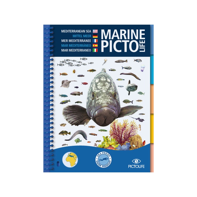 image: Marine pictolife Mediterranee