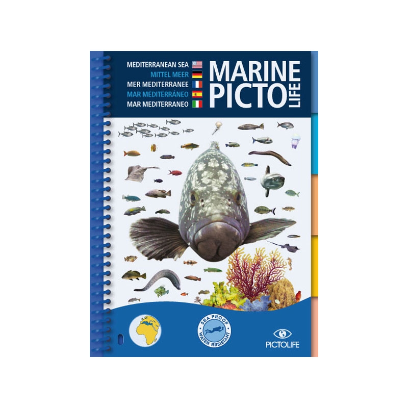 image: Marine pictolife Mediterranee image: Marine pictolife Mediterranee