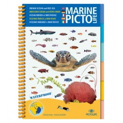 image: Marine pictolife Ocean Indien et Mer Rouge