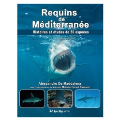 image: Requins de mediterannee