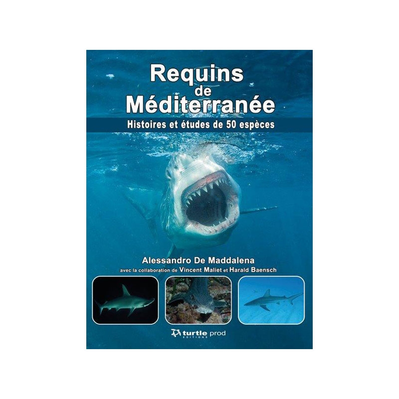 image: Requins de mediterannee