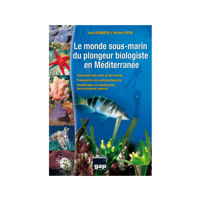 image: Le monde sous-marin du plongeur biologiste en méditerranée