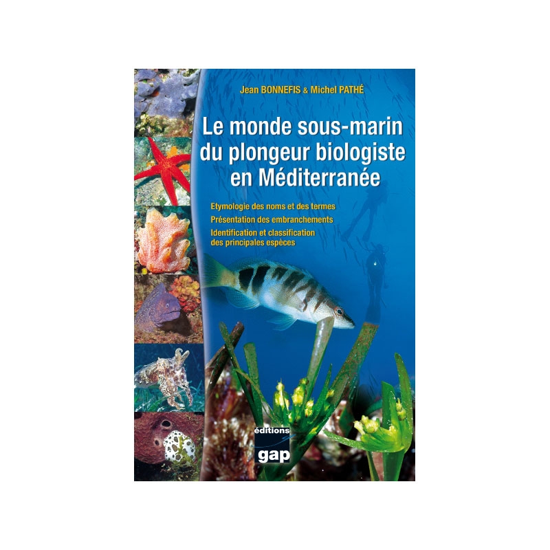 image: Le monde sous-marin du plongeur biologiste en méditerranée image: Le monde sous-marin du plongeur biologiste en méditerranée
