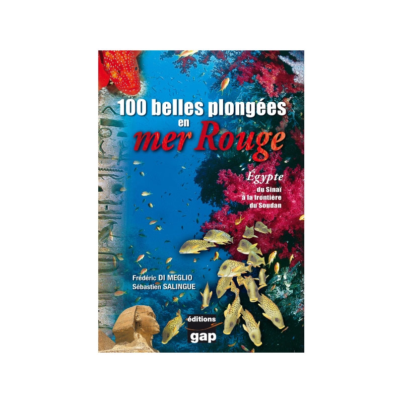 image: 100 belles plongées en mer rouge